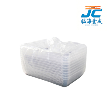 Clear Plastic Storage Box