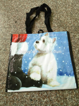 Europe Standard Laminated China PP Woven Bag