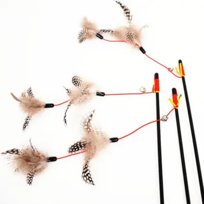 Interactive Cat Toys: Teaser Stick and Dancing Cat Toy