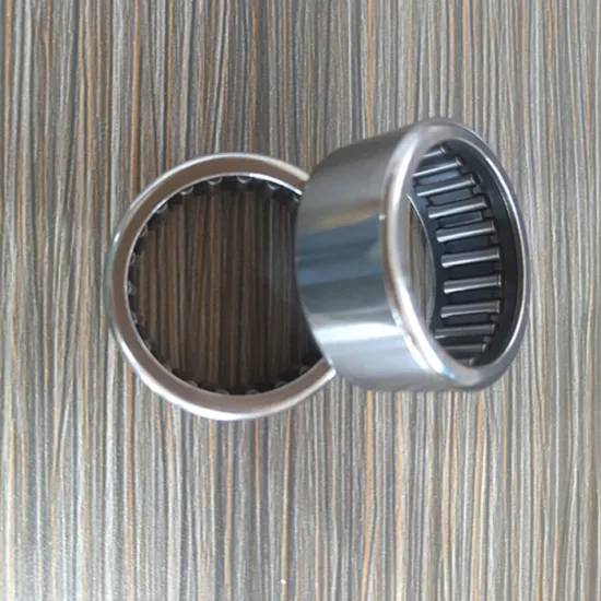 K25x29x10 25x29x10mm Needle Roller Cage Assembly Bearing K25x29x10