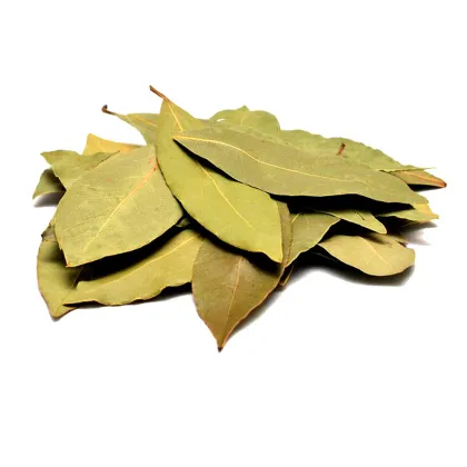 Wholesale Dry Bay Leaf and Dried Laurel Leaves Seasoning Supplier