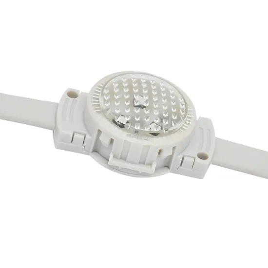 New Smart 48V 0.72W Waterproof IP68 LED Christmas Lights for House Decorations