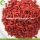 Sexual Strength Nutrition Fruit Healthy Common Goji Berries