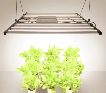 Foldable Full Spectrum Waterproof LED Grow Light 400w-1000w for Indoor Plants