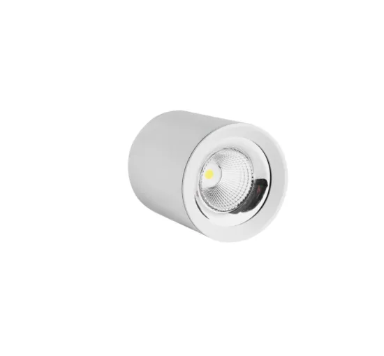 20W cylindrical LED ceiling light