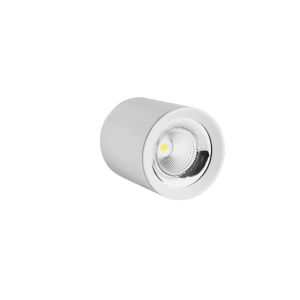 20W cylindrical LED ceiling light