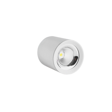 20W cylindrical LED ceiling light