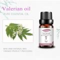 Mais vendido Pure Valerian Essential Oil Ajuda Sleep