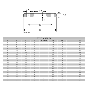 NFE29203 Type 02 Flange