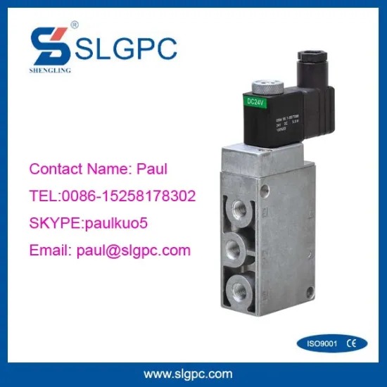 Chinese products 1/8" electric air shut off quick response 24v dc solenoid valve SLGPC-5-06