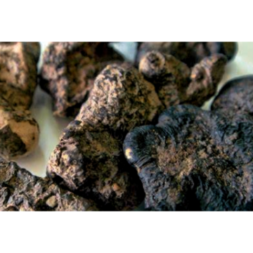 Polyporus Umbellatus Extract
