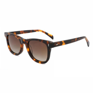 Square Acetate Sunglasses Customizable Frames Acetate Eyewear for Women Supplier