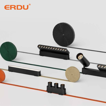 ERDU 24V 스마트 트랙 조명 벨트