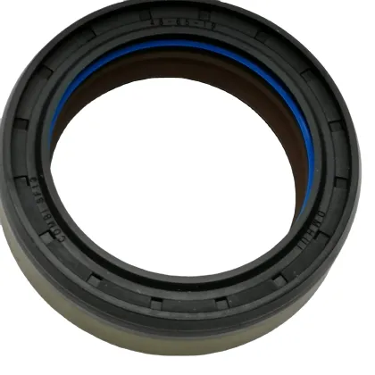 DMHUI Factory Directly Supplies COMBI SF19 Type 12036965B FPM Oil Seal for 370815