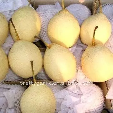 fresh sweet Ya Pear