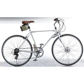 DT700-D Electric Bike