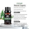 Cedar Essential Oil para cuidados de saúde e aromaterapia