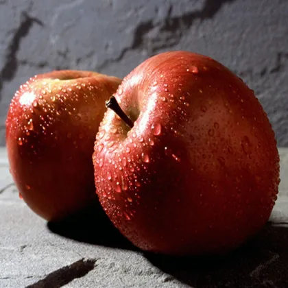 Fresh Fuji apple (long-term cooperation with India,EU,RU market )