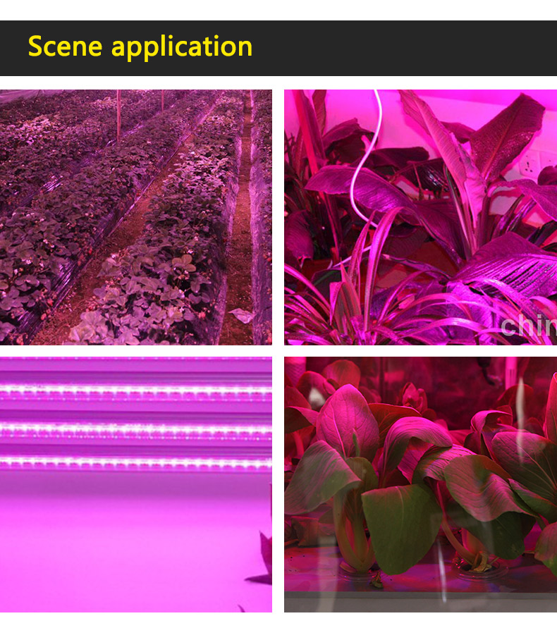 led grow light