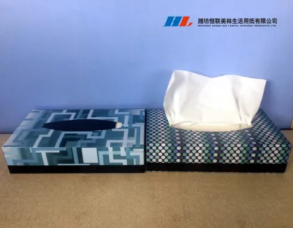 OEM Customed White Soft Box Facial Tissue