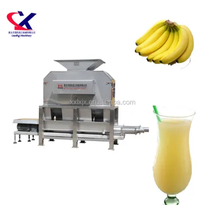 Professional Green Banana Manufacturers: Jam Making and Banana Grinding Machines