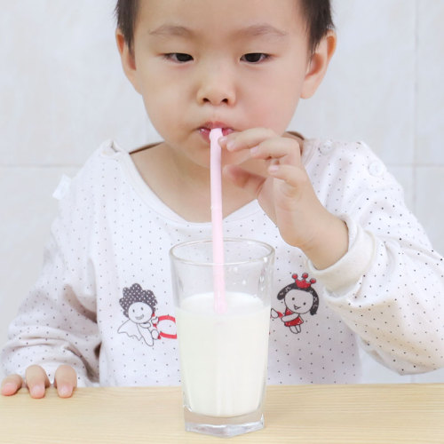 2019 Popular Product Reusable Straw Collapsible Wholesale