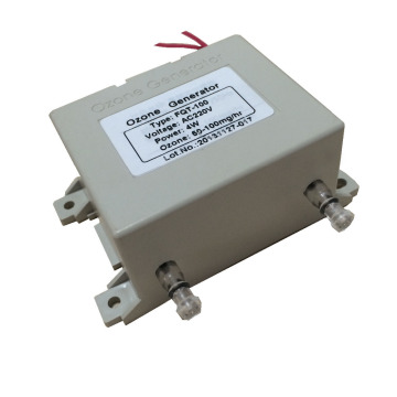 Mini Ozone Generator Plate for Water Treatment Ozone Generator FQT-100