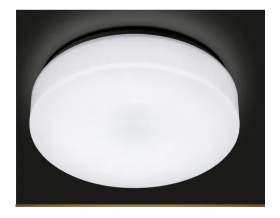 110V/220V 12W LED Flush Mount Ceiling Light for Industrial Use