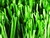 New Hollow grass Artificial Turf for Sports and Landscaping