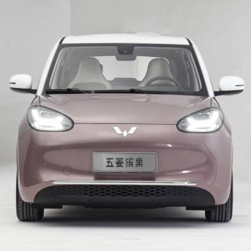 Popular Wuling Binguo 2023: Compact 4-Seater Electric Vehicle with 203km Range