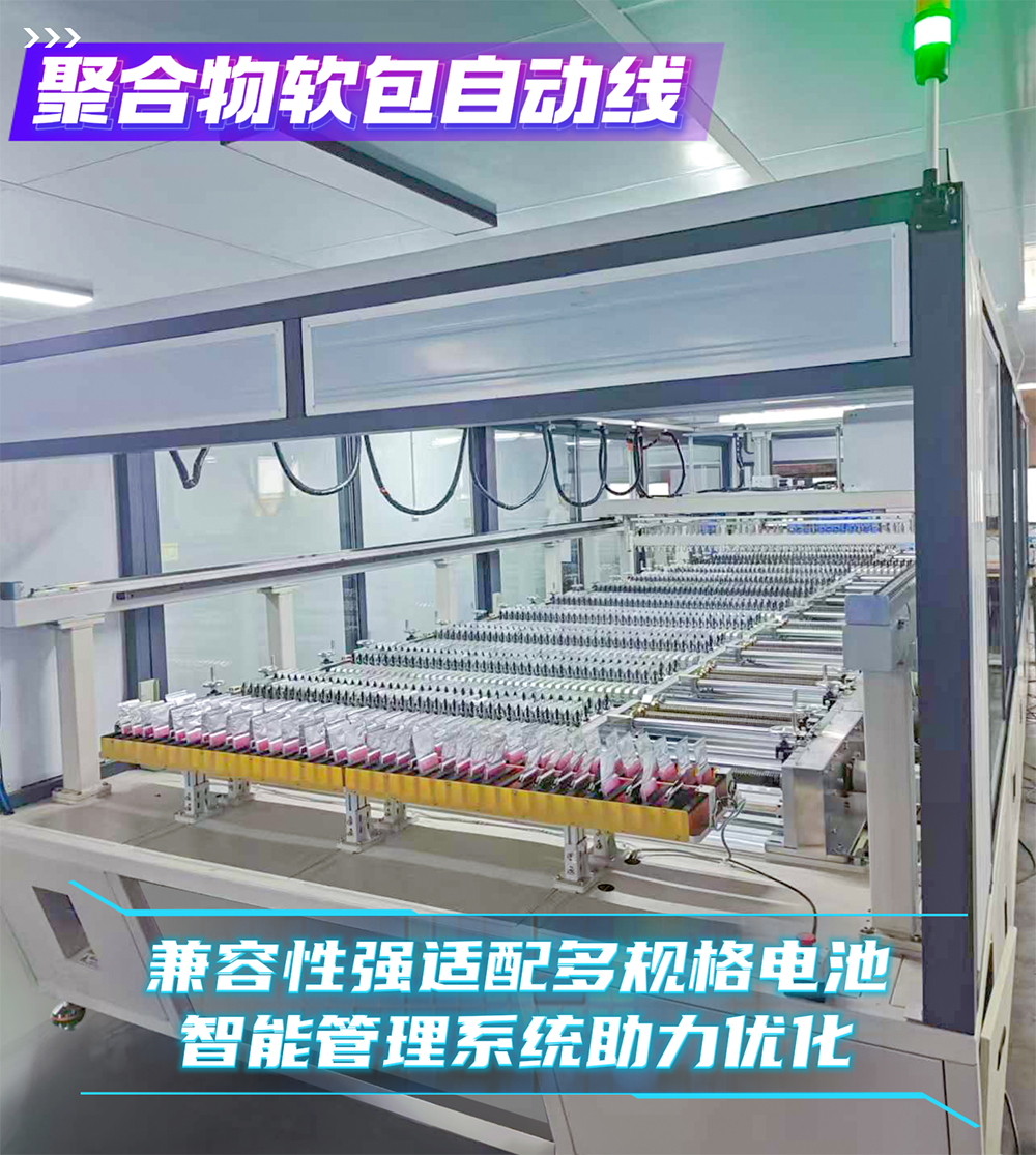 pouch cell assembly