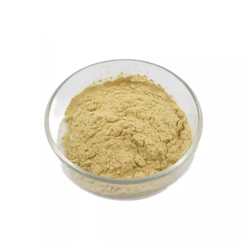 Oyster Extract Powder 80%Peptide for Health