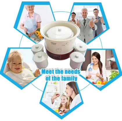 electric ceramic stew pot DDZ-40BX