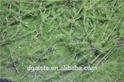 moss flocking artificial moss grass carpet