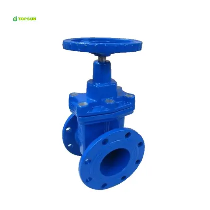 BS5163 Flange Gate valve Ductile Cast iron 100mm gate valve price Gate Valve PN10