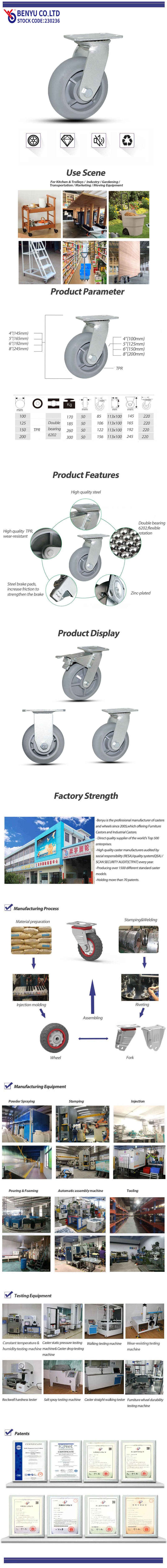 Swivel Trolley Castor