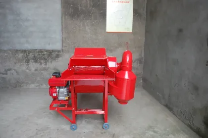 Wheat Grain Food Grade White Wheat Grain Russian