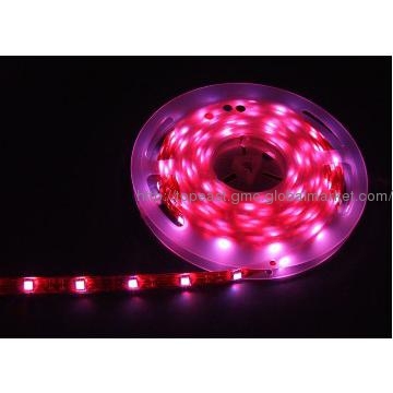 led rope light, led rope lighting approved by CE/RoHS