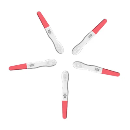 Rapid Early Pregnancy Test HCG Ovulation Test Strip