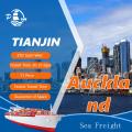 Maritime Shipping from Tianjin to Auckland