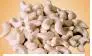 sell white cashew nuts