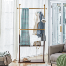 Stylish Solid Wood Coat Rack with Modern Hangers