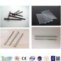 Hot Sale Cheaper High Quality Nails