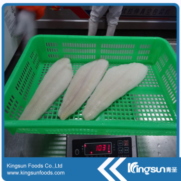 New Coming Top Quality Frozen Greenland Halibut Fillet