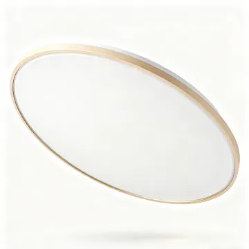 LED Ceiling Light for Home Interior