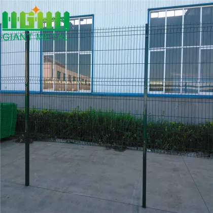 SGS Certification Welded Wire Mesh Fence netting