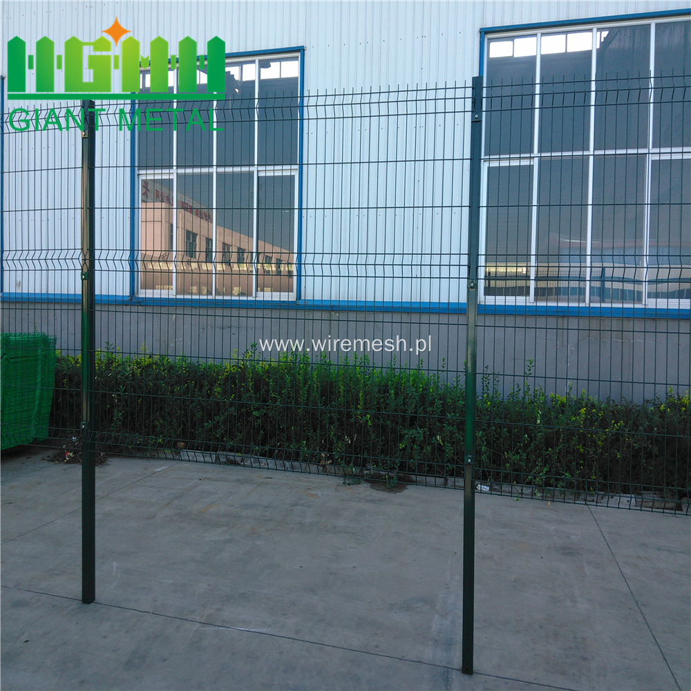 SGS Certification Welded Wire Mesh Fence netting