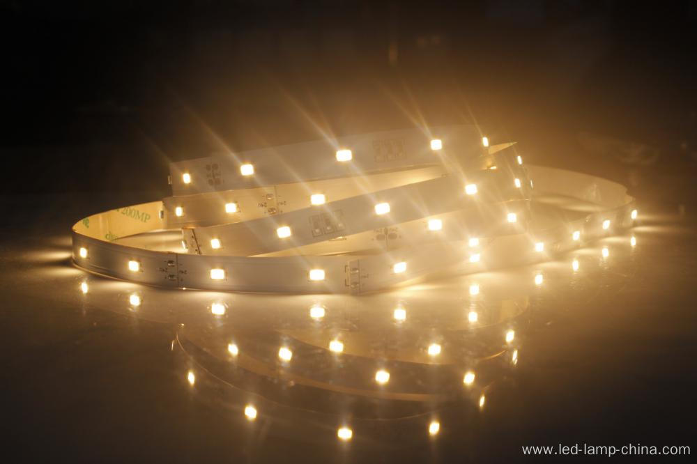SMD5630 LED Strip Light Warm Pure Cool Color