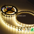 Bande LED SMD 5050 220 V 60 PCS / m 14,4 w High Lumen