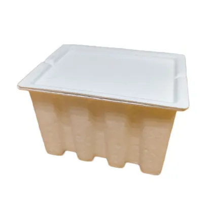 Sugarcane Biodegradable Disposable Serving Trays With Lids
